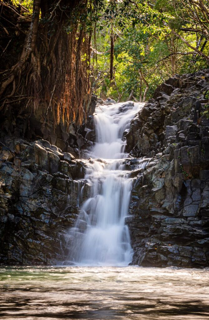 Waterfall on Rock in Wild Forest